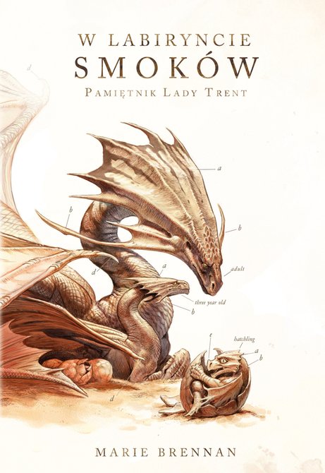 ebooki: W labiryncie smoków – ebook