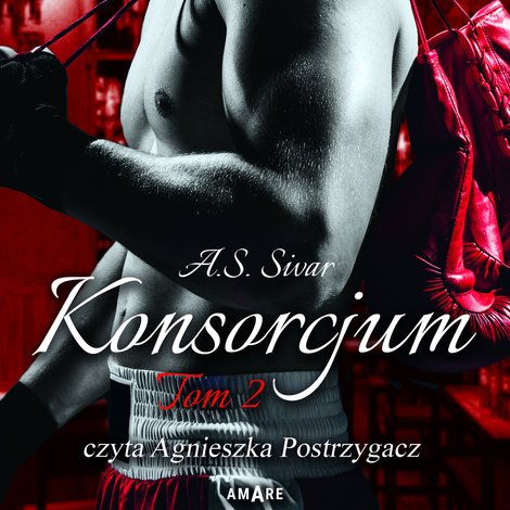 audiobooki: Konsorcjum. Tom II – audiobook