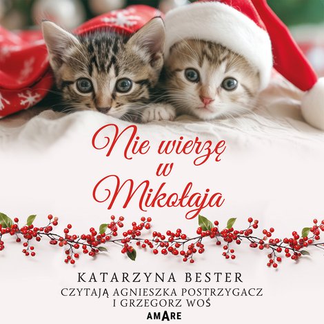 audiobooki: Nie wierzę w Mikołaja – audiobook