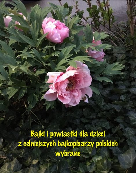 ebooki: Bajki i powiastki dla dzieci z celniejszych bajkopisarzy polskich wybrane – ebooki