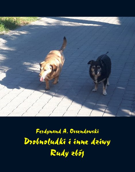 ebooki: Drobnoludki i inne dziwy. Rudy zbój – ebooki
