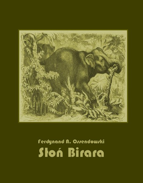 ebooki: Słoń Birara – ebooki