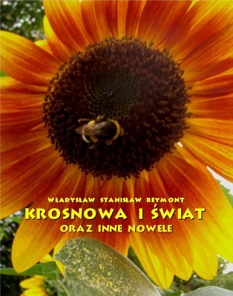 ebooki: Krosnowa i świat – ebooki
