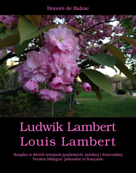 ebooki: Ludwik Lambert. Louis Lambert – ebooki