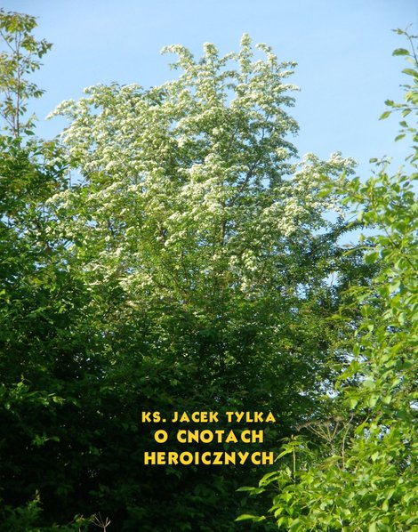 ebooki: O cnotach heroicznych – ebooki