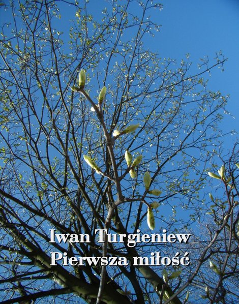 ebooki: Pierwsza miłość – ebooki