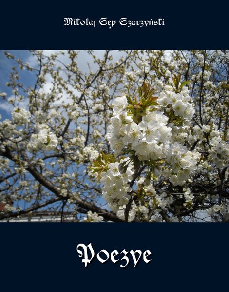 ebooki: Poezye – ebooki