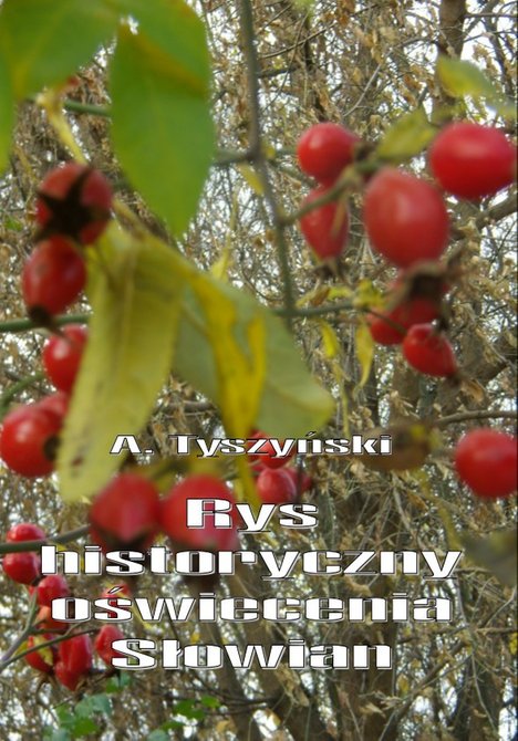 ebooki: Rys historyczny oświecenia Słowian – ebooki