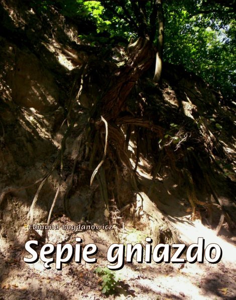 ebooki: Sępie gniazdo. Opowiadanie przygodowe z puszczy południowoamerykańskiej – ebooki