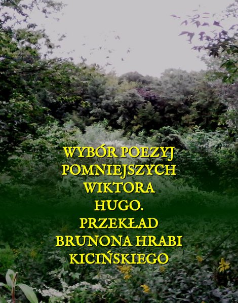 ebooki: Wybór poezyj pomniejszych Wiktora Hugo. – ebooki