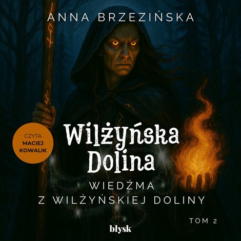 audiobooki: Wiedźma z Wilżyńskiej Doliny – audiobook