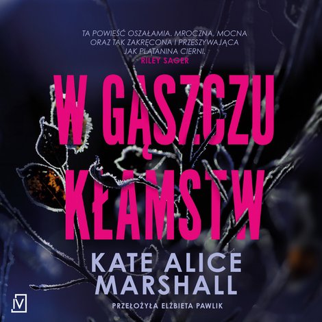 audiobooki: W gąszczu kłamstw – audiobooki