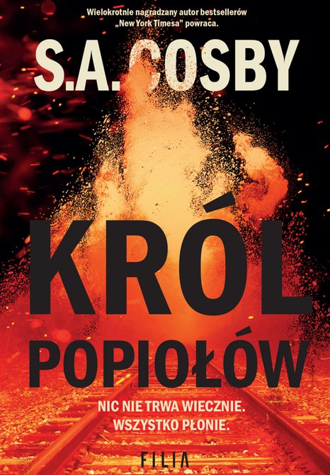 ebooki: Król popiołów – ebook