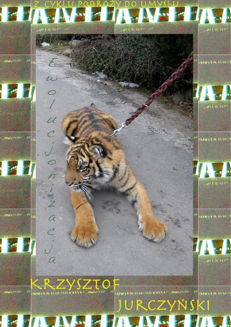 ebooki: Ewolucjonizacja – ebooki
