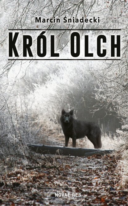 ebooki: Król Olch – ebook