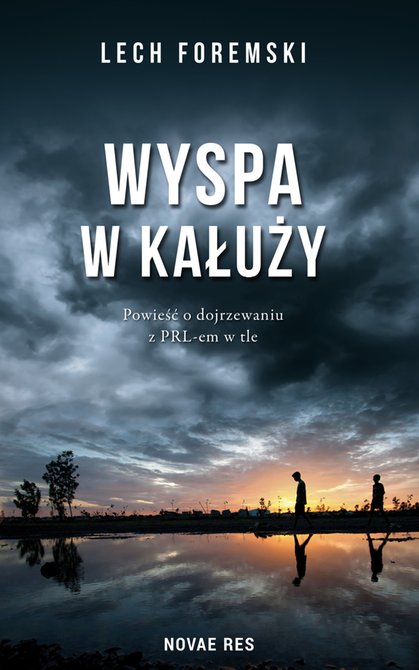 ebooki: Wyspa w kałuży – ebook