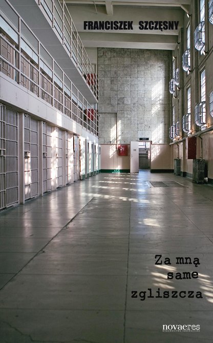 ebooki: Za mną same zgliszcza – ebook