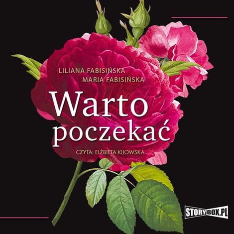 audiobooki: Warto poczekać – audiobooki