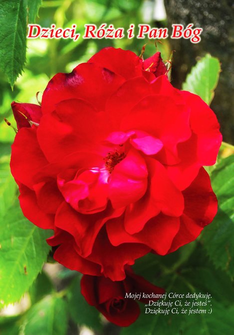 ebooki: Dzieci, Róża i Pan Bóg – ebooki