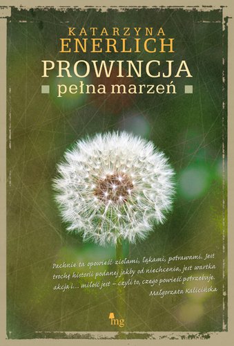 ebooki: Prowincja pełna marzeń – ebooki