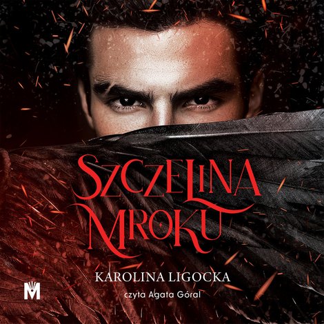 audiobooki: Szczelina mroku – audiobook