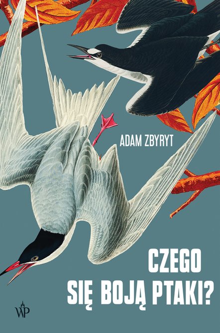 ebooki: Czego się boją ptaki? – ebook