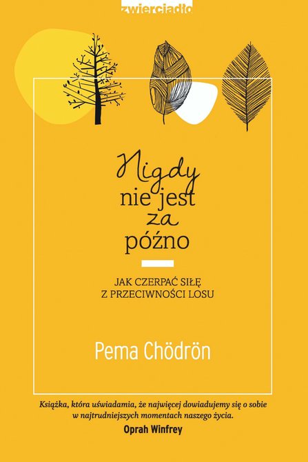 ebooki: Nigdy nie jest za późno. Jak czerpać siłę z przeciwności losu – ebooki