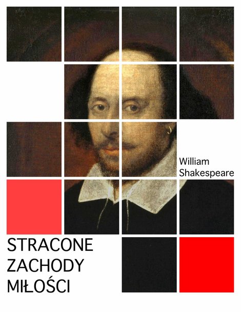 ebooki: Stracone zachody miłości – ebook