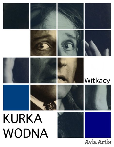 ebooki: Kurka Wodna – ebook