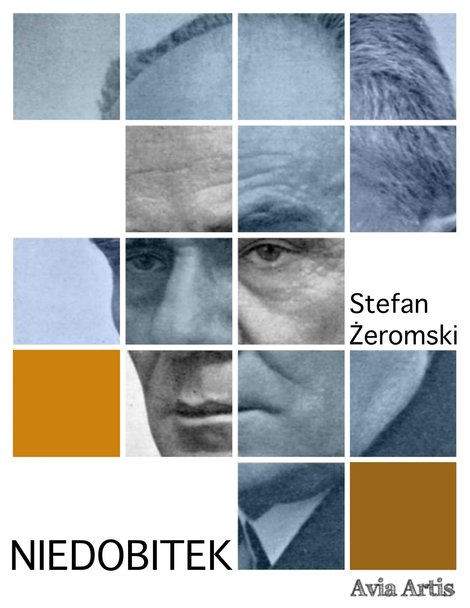 ebooki: Niedobitek – ebook