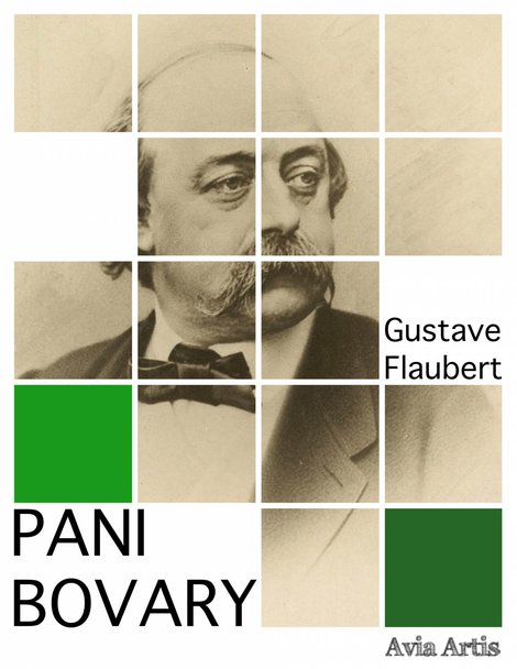 ebooki: Pani Bovary – ebook