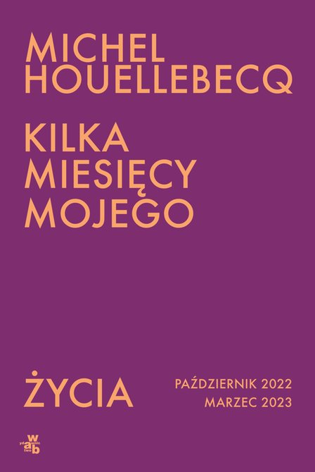 ebooki: Kilka miesięcy mojego życia – ebook