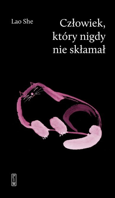 ebooki: Człowiek, który nigdy nie skłamał – ebook
