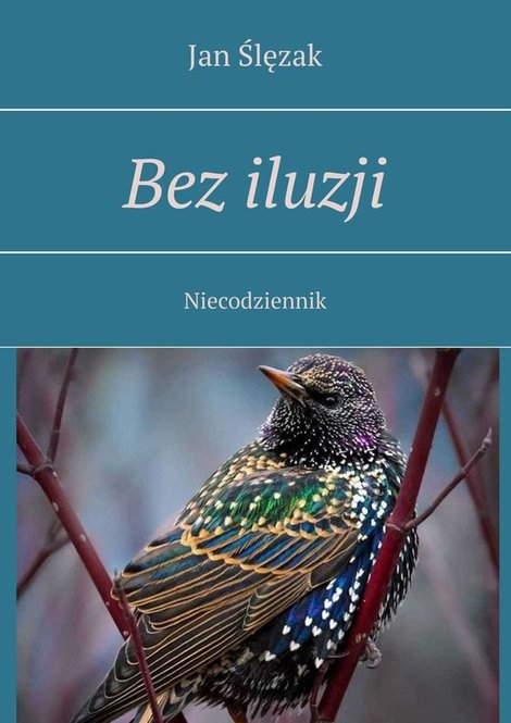 ebooki: Bez iluzji – ebook