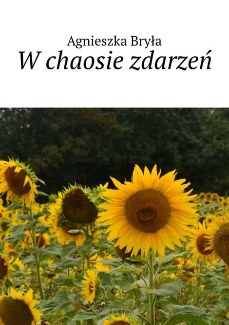 ebooki: W chaosie zdarzeń – ebook