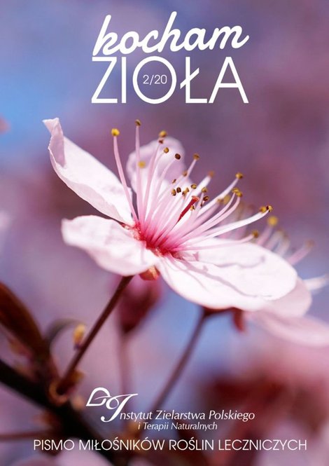 ebooki: Kocham Zioła 2/2020 – ebook