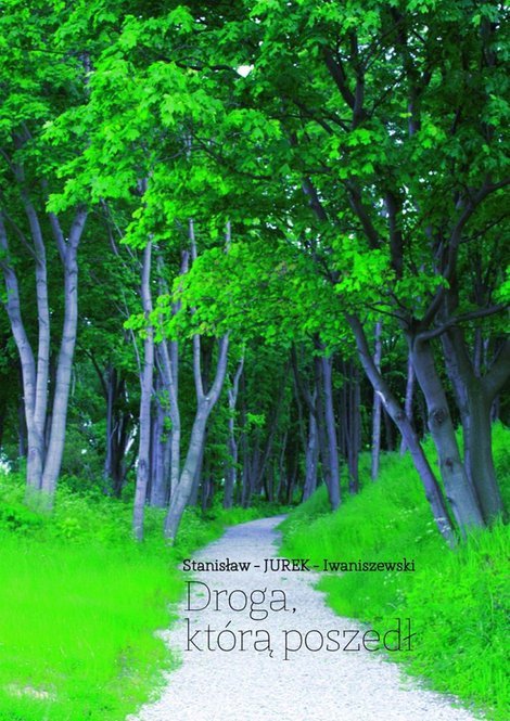 ebooki: Droga, którą poszedł – ebook