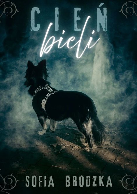 ebooki: Cień bieli – ebook