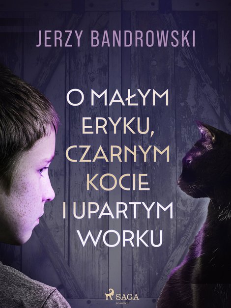 ebooki: O małym Eryku, czarnym kocie i upartym worku – ebook