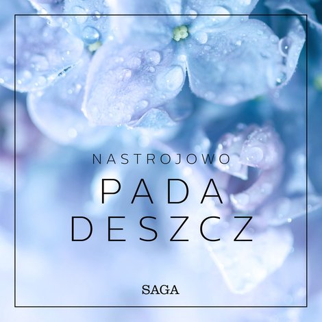 : Nastrojowo - Pada deszcz – audiobook