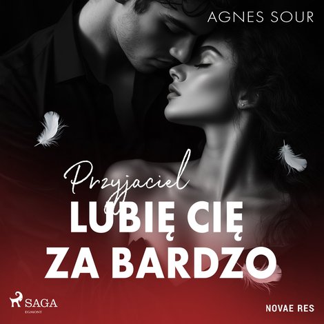 audiobooki: Przyjaciel. Lubię cię za bardzo – audiobook