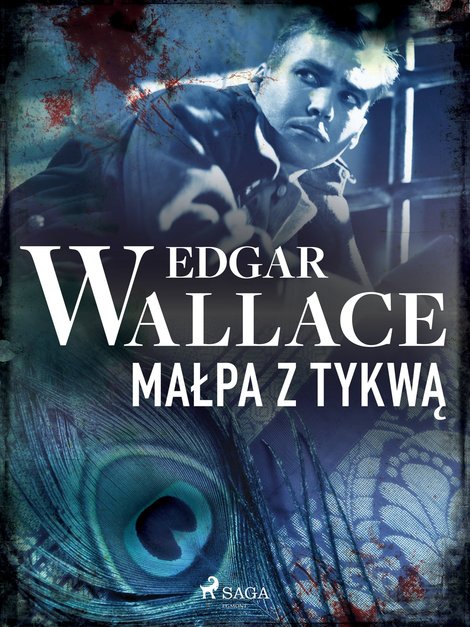 ebooki: Małpa z tykwą – ebook
