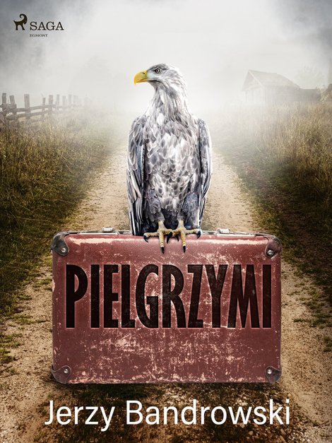 ebooki: Pielgrzymi – ebook