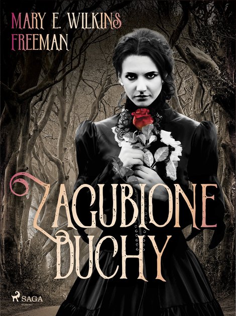 ebooki: Zagubione duchy – ebook