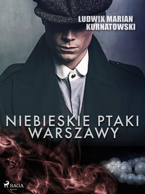 ebooki: Niebieskie Ptaki Warszawy – ebook
