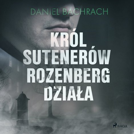 audiobooki: Król sutenerów Rozenberg działa – audiobook