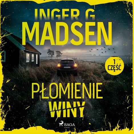audiobooki: Płomienie winy. Część 1 – audiobook