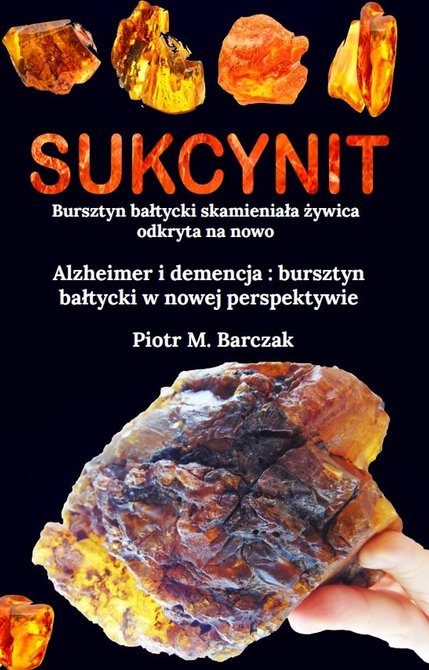 ebooki: Sukcynit. Bursztyn bałtycki skamieniała żywica odkryta na nowo – ebook