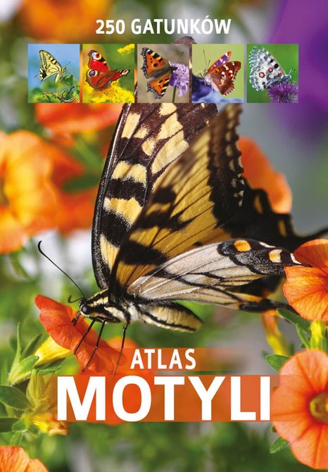 ebooki: Atlas motyli – ebook
