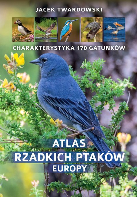 ebooki: Atlas rzadkich ptaków Europy – ebook